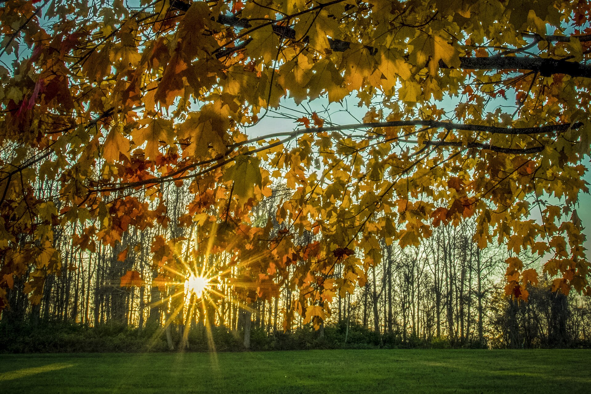 Newtown Square, Pennsylvania: A Chester County Town Guide for Luxury Home Buyers
