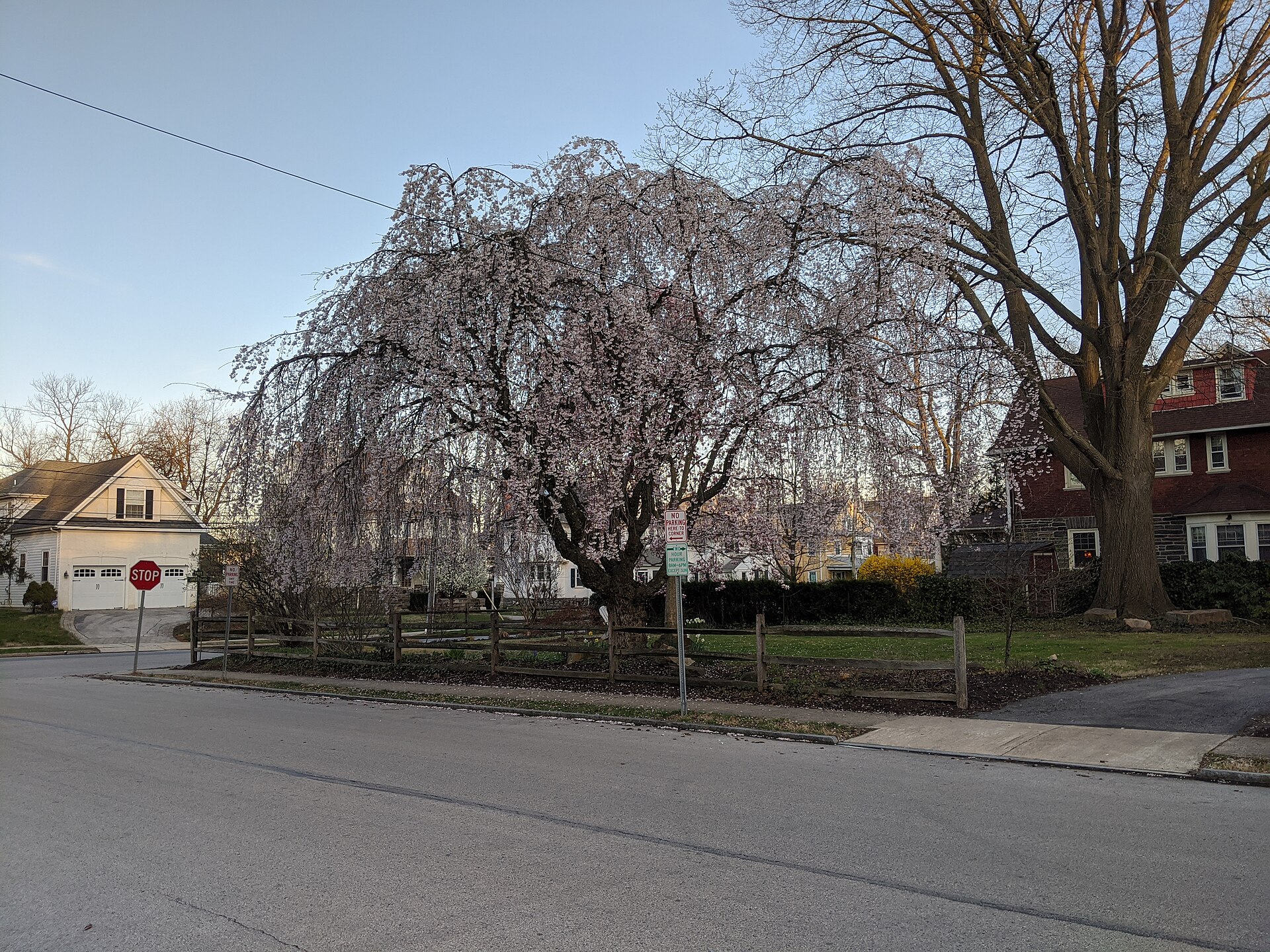Ardmore, Pennsylvania: A Main Line Town Guide for Luxury Home Buyers