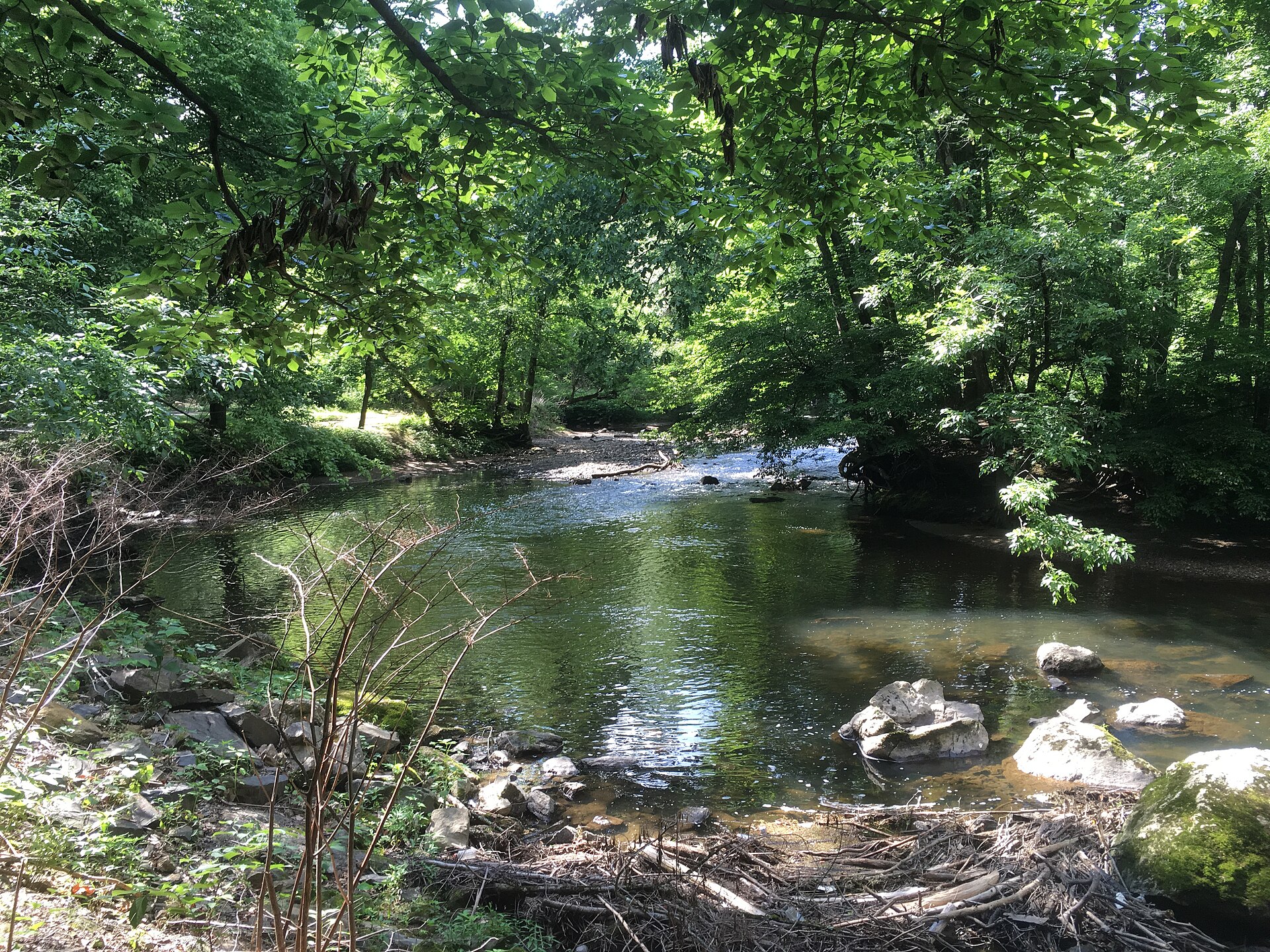 Living in Fox Chase and Somerton: A Luxury Buyer’s Guide to Far Northeast Philadelphia