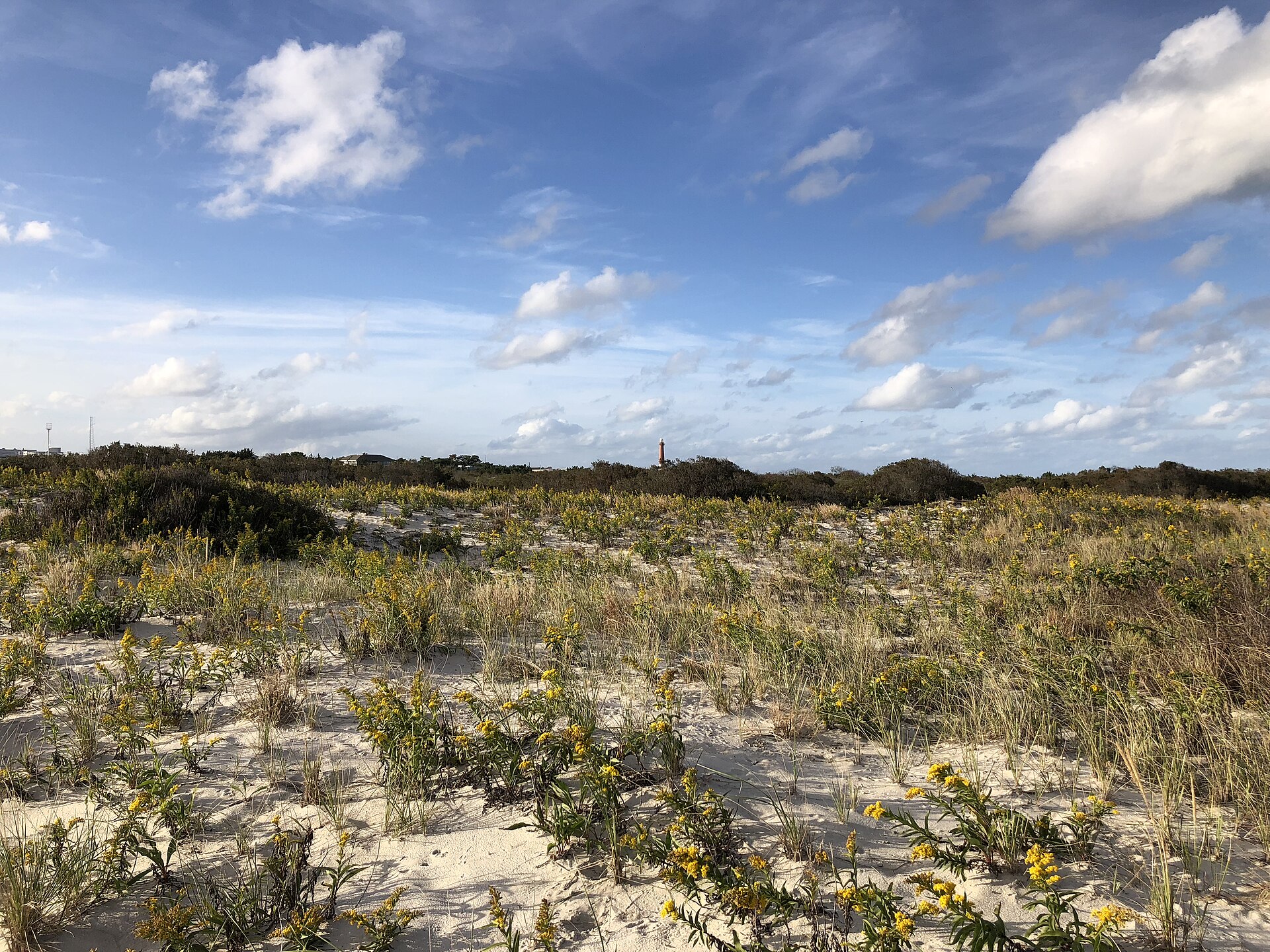 Surf City and Ship Bottom, New Jersey: A Luxury Buyer’s Guide to Long Beach Island’s Classic Beach Towns